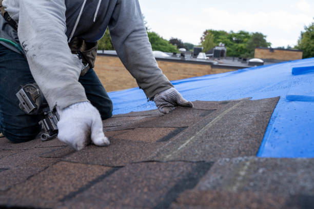 Roof Repair Estimates in Williamston, NC