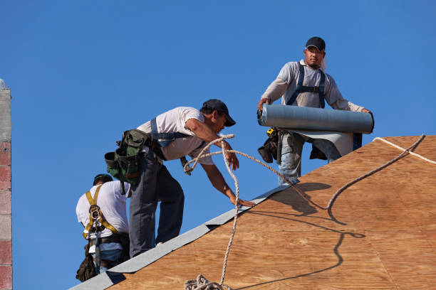 Best Residential Roof Replacement  in Williamston, NC