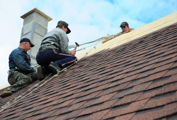 Best Best Roofing Contractors  in Williamston, NC